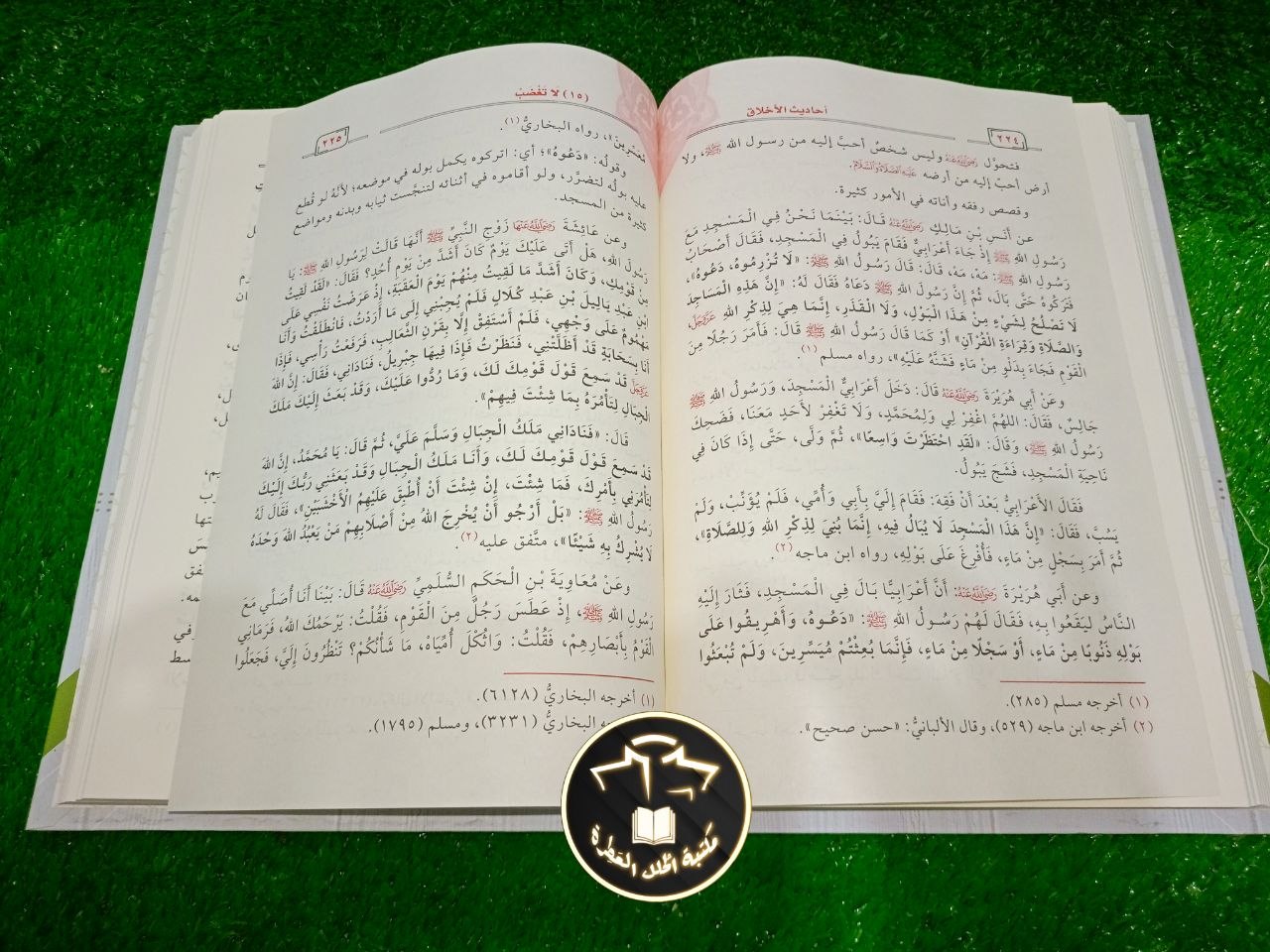 أحاديث الأخلاق للشيخ عبد الرزاق البدر view 2